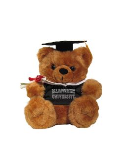 Teddybeer Graduation Maastricht University